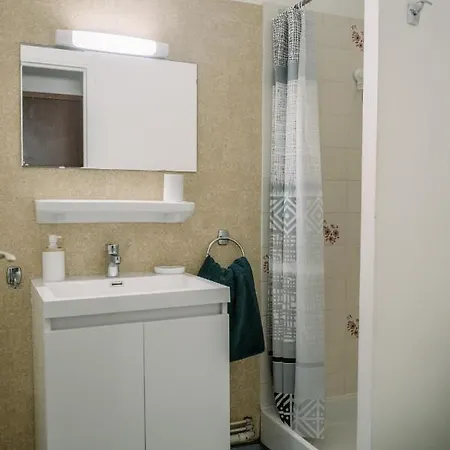 Le Silene Apartment Rodez